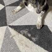FurClean Pro™ Herbruikbare Haarverwijderaar