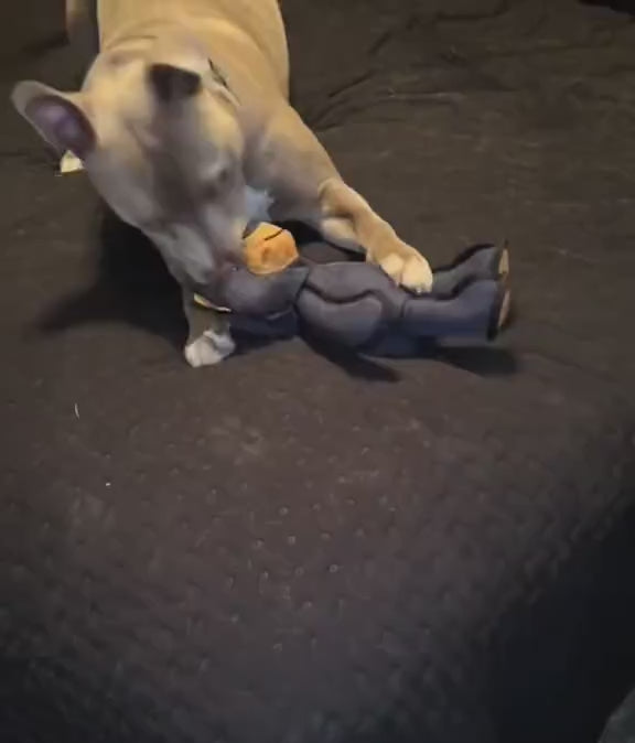 PowerBear™ Onverwoestbaar Hondenspeeltje