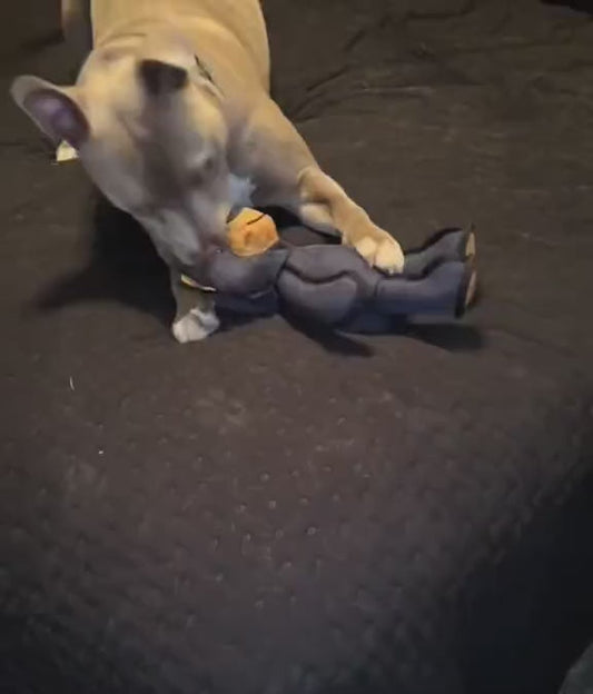 PowerBear™ Onverwoestbaar Hondenspeeltje