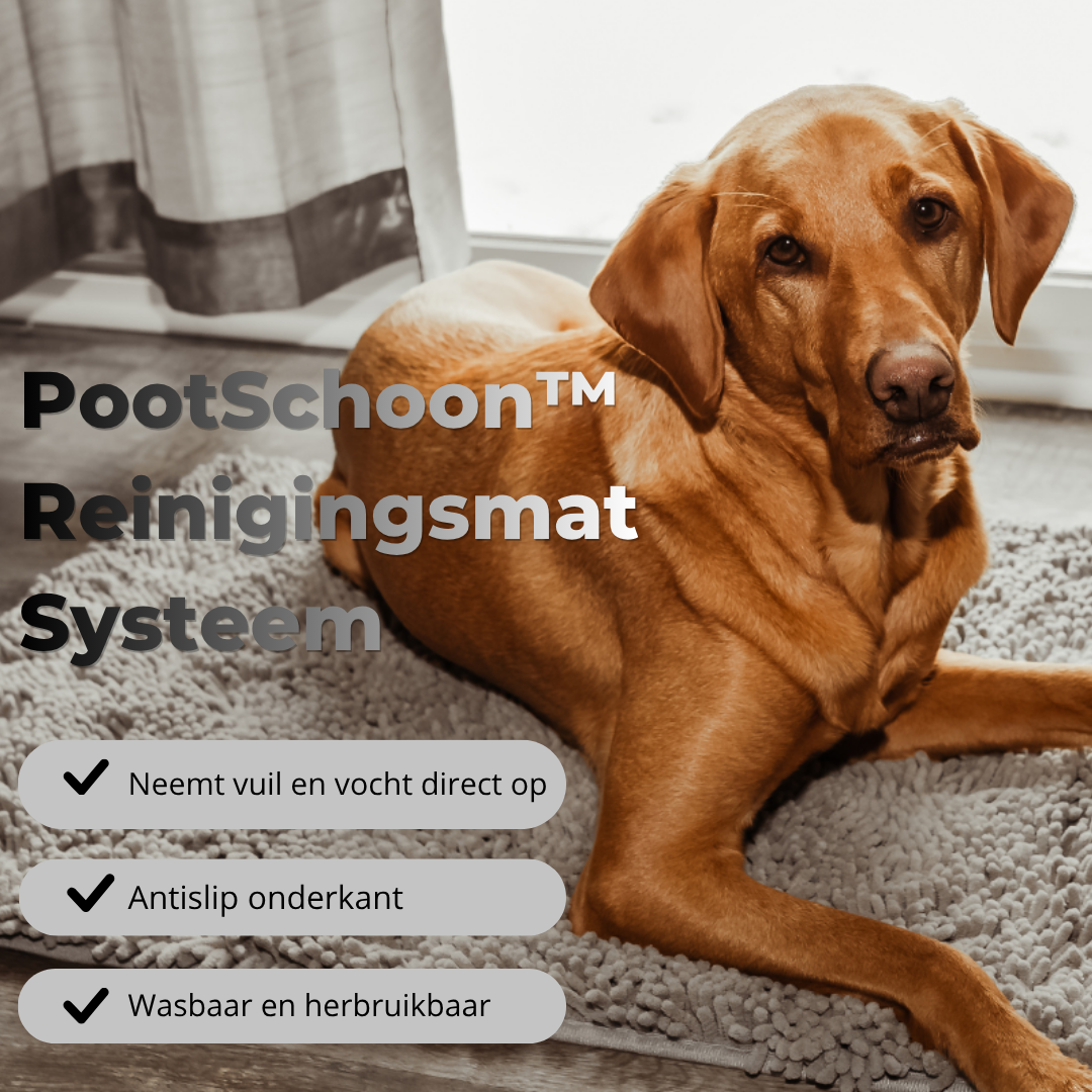 PootSchoon™ Reinigingsmat Systeem